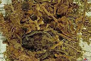 фото: ГУ МВД России по Волгоградской области