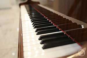 Фото: Данил Савченко / "Городские вести"