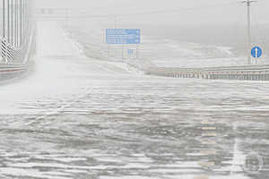 Фото: Дмитрий Рогулин / «Городские вести»