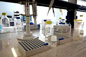 Фото: ВолгГМУ