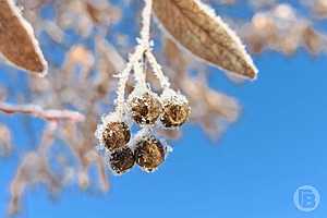 Фото: Дмитрий Рогулин/"Городские вести"