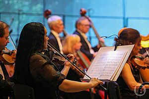 Фото: Дмитрий Рогулин / "Городские вести"