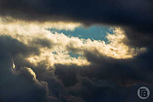 Фото: «Городские вести»