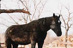 Фото: Данил Савченко / "Городские вести"