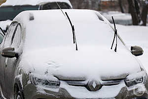 Фото: Дмитрий Рогулин / "Городские вести"