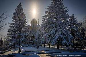 Фото: Олег Димитров / "Городские вести"