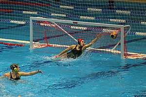 фото: облспорткомитет