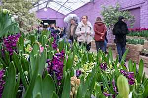 Фото: Дмитрий Рогулин/"Городские вести"