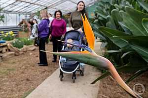 Фото: Дмитрий Рогулин/"Городские вести"