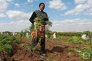Фото: Дмитрий Рогулин / "Городские вести"