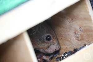 Фото: Дмитрий Рогулин / "Городские вести"