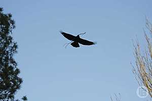 Фото: Дмитрий Рогулин / "Городские вести"