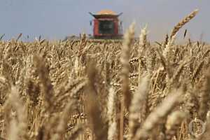 фото: Дмитрий Рогулин / "Городские вести"