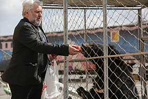 Фото: Данил Савченко / "Городские вести"