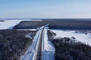 Фото: Mihail MS/Shutterstock