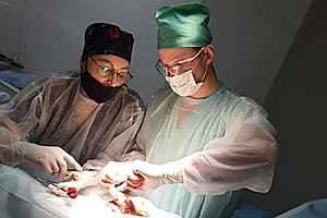 Фото: ВолгГМУ