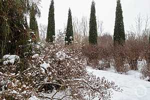 Фото: Дмитрий Рогулин / "Городские вести"