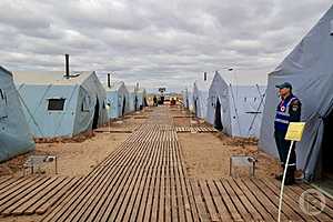 Фото: Дмитрий Рогулин / "Городские вести"