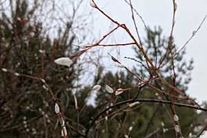 Фото предоставлено пабликом "Фролово. Город, который есть!"