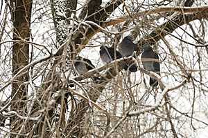 Фото: Дмитрий Рогулин / "Городские вести"
