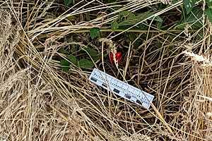 фото: ГУ МВД России по Волгоградской области