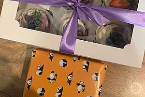 Фото: "Городские вести"