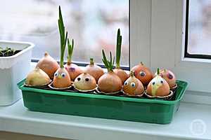 Фото: Павел Мирошкин / "Городские вести"