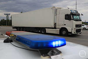 фото: Дмитрий Рогулин / "Городские вести"