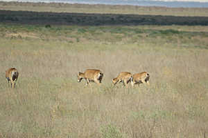 Фото: Администрация Волгоградской области