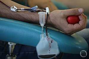 Фото: Дмитрий Рогулин / "Городские вести"