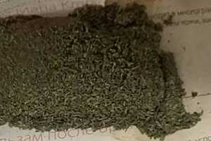 Фото: ГУ МВД России по Волгоградской области