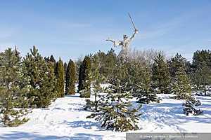 Фото: Олег Димитров / "Городские вести"