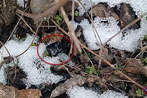 Фото: ГУ МВД России по Волгоградской области