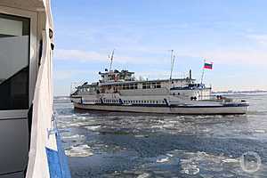 Фото: Матвей Горбунов/"Городские вести"