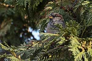 Фото: Дмитрий Рогулин/"Городские вести"