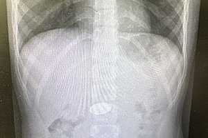 Фото: Комитет здравоохранения Волгоградской области