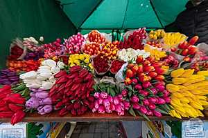 Фото: Дмитрий Рогулин/"Городские вести"