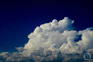 Фото: Михаил Тарасов / "Городские вести"