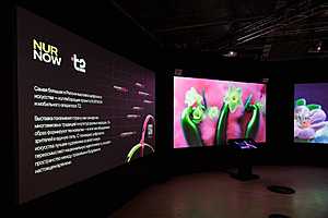 Фото: пресс-служба Т2