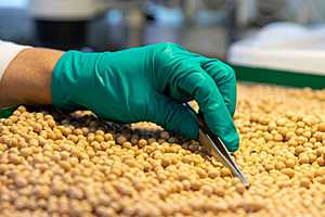 Фото:  Волгоградский филиал ФГБУ «ЦОК АПК»