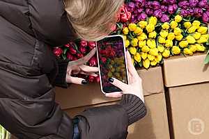 Фото: Дмитрий Рогулин/"Городские вести"