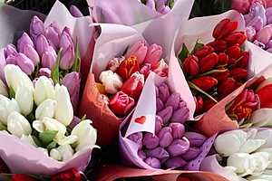 Фото: Дмитрий Рогулин / "Городские вести"