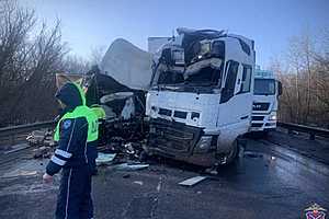 фото: ГУ МВД России по Волгоградской области