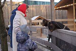 фото: ЦПКиО