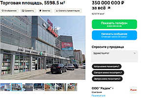 Фото: скриншот avito.ru