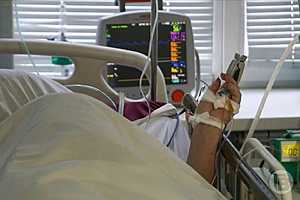 Фото: Дмитрий Рогулин / "Городские вести"