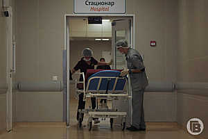 фото: Дмитрий Рогулин / "Городские вести"