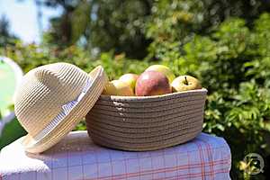 Фото: Дмитрий Рогулин/"Городские вести"