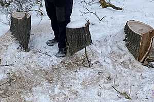 Фото: ГУ МВД России по Волгоградской области