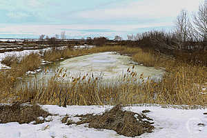 Фото: Дмитрий Рогулин / "Городские вести"